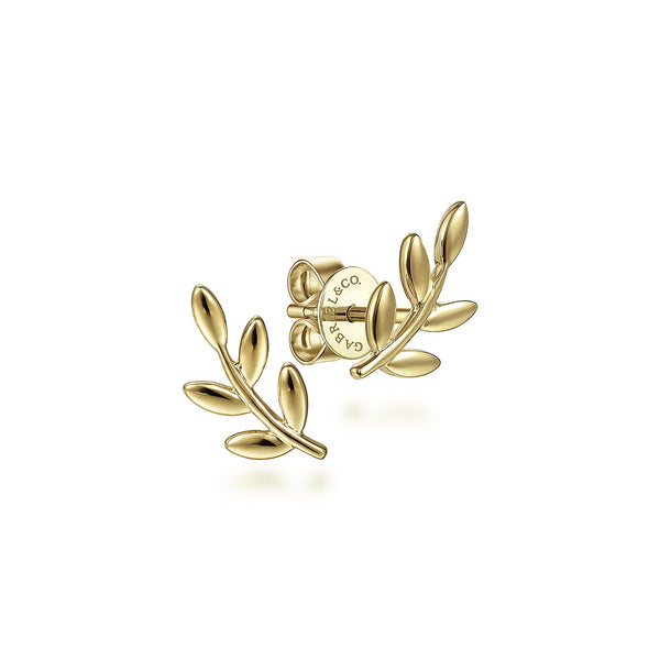 14KT Yellow Gold Laurel Branch Post Earrings - John Thomas Jewelers.