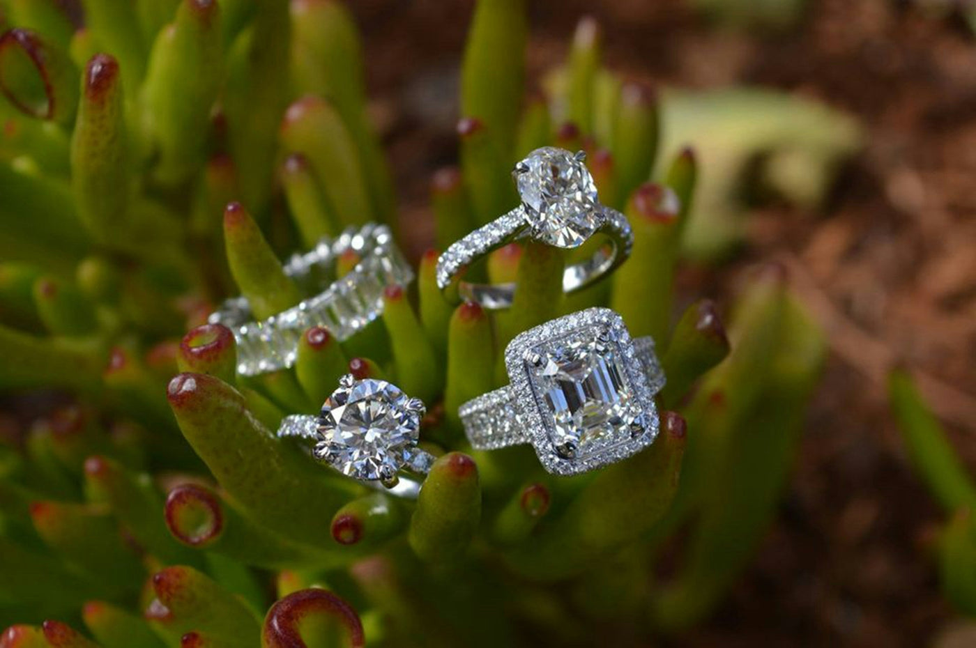 Decoding Fine Jewelry in Albuquerque for Everyday Luxury