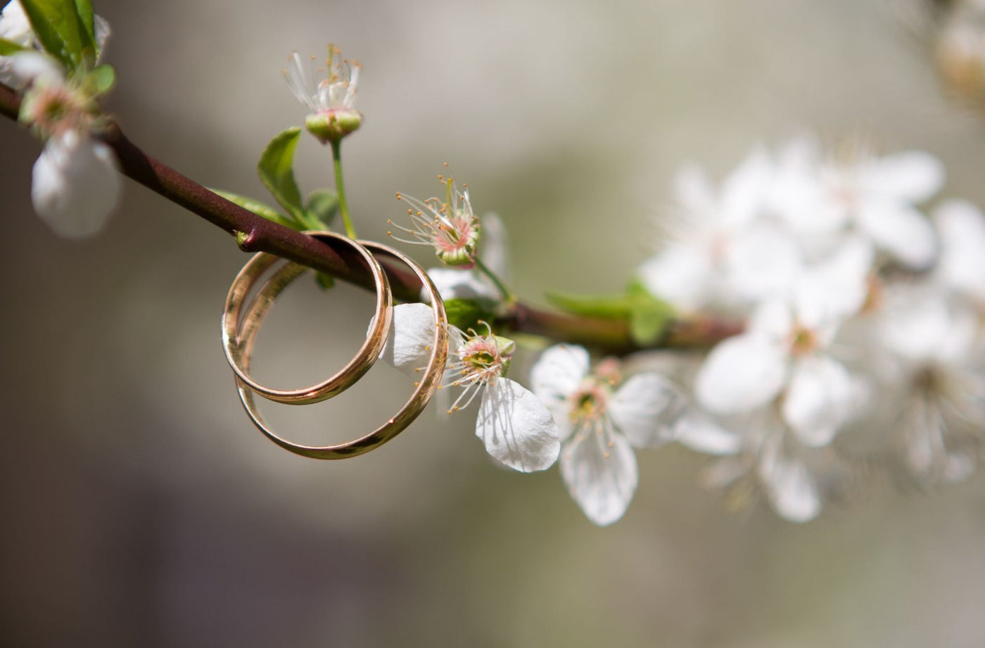 How to Clean and Maintain Wedding Bands for Ladies